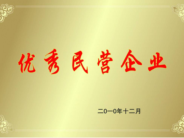 民營(yíng)企業(yè)